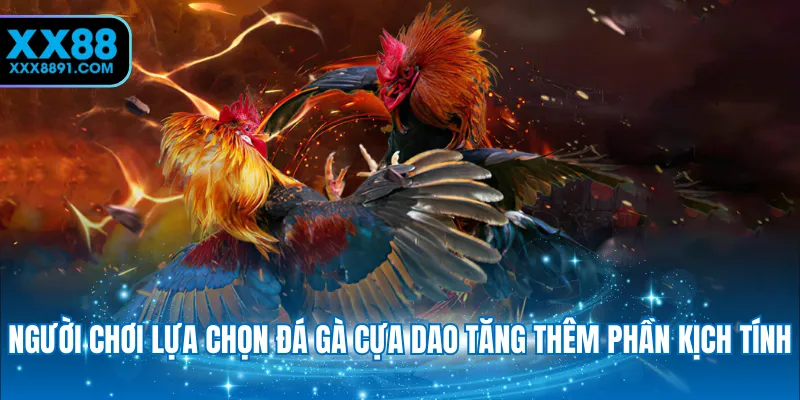 Đá Gà XX88 - Sảnh Cược Đẳng Cấp Cùng Siêu Phẩm Nổi Bật - novaspire.surf