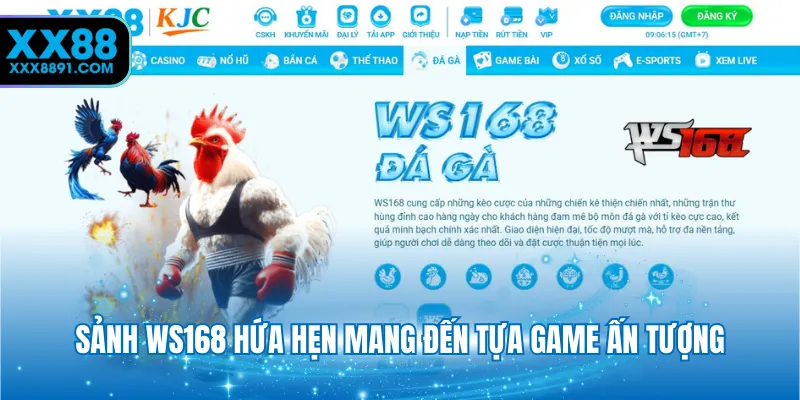 Đá Gà XX88 - Sảnh Cược Đẳng Cấp Cùng Siêu Phẩm Nổi Bật - novaspire.surf